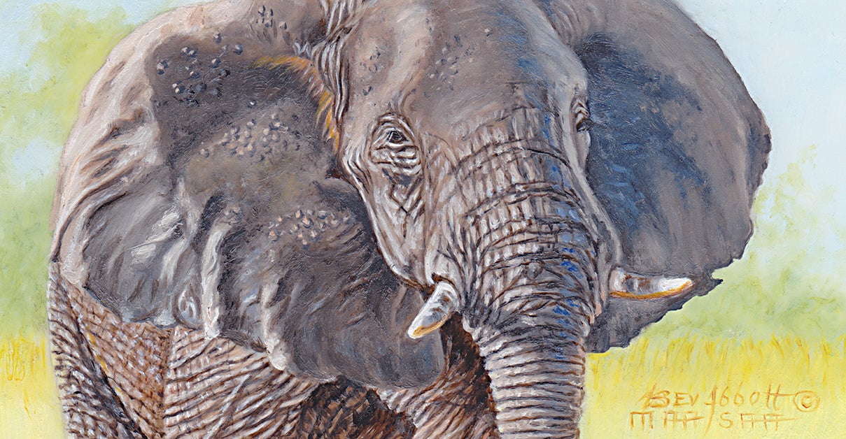 Abbot, Elephant Head Study.jpg