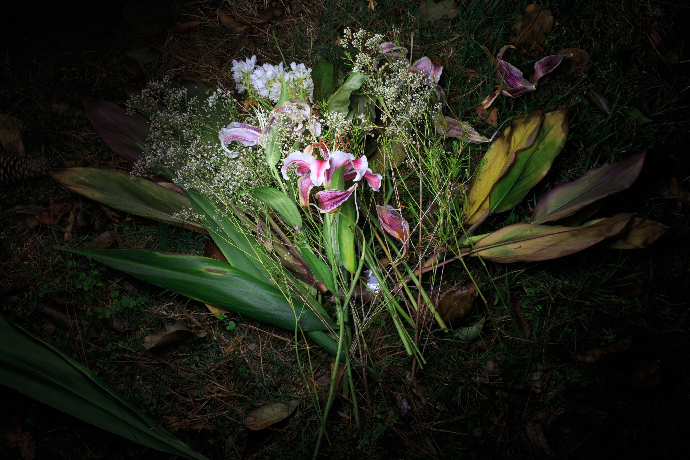 Jason Stick A Bundle of Flowers in the Grass.jpg